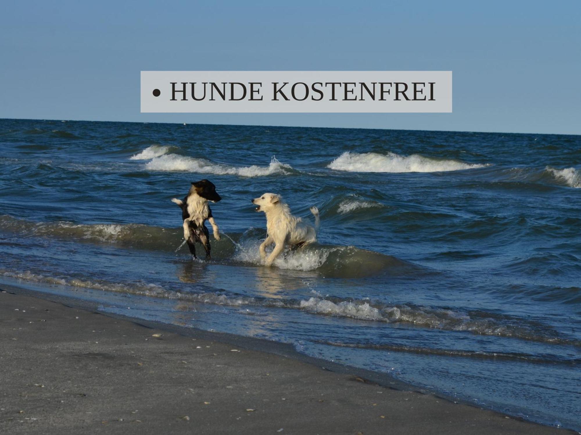 Haus Krabbe Apartments, Zentral Gelegen Im Idyllischen Nordseeort Zwischen Bremerhaven Und Cuxhaven, Hunde Kostenfrei Willkommen, Hauseigene Kostenfreie Parkplaetze Wremen Exteriér fotografie